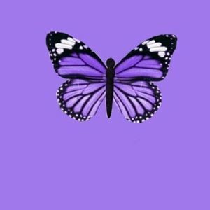 Meet your Posher, Sasha